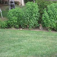 IMG_2513.JPG