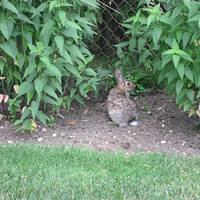 IMG_2516.JPG