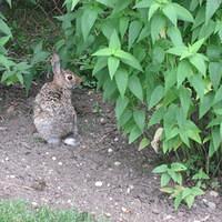 IMG_2517.JPG