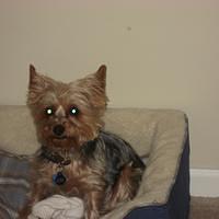 IMG_2532.JPG