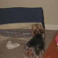 IMG_2535.JPG