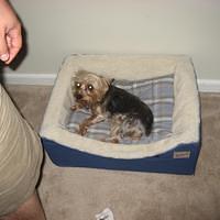 IMG_2539.JPG