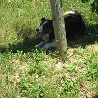 IMG_2473.JPG