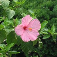 IMG_2493.JPG
