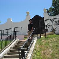 IMG_2510.JPG
