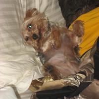 IMG_2562.JPG