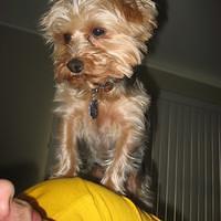 IMG_2571.JPG