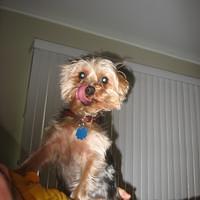 IMG_2573.JPG
