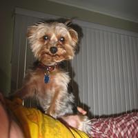 IMG_2574.JPG
