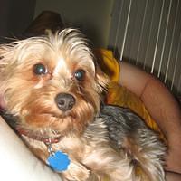 IMG_2577.JPG