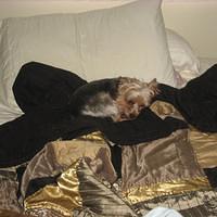 IMG_2583.JPG