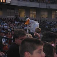 IMG_2784.JPG