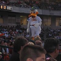 IMG_2785.JPG