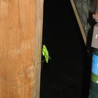IMG_2912.JPG