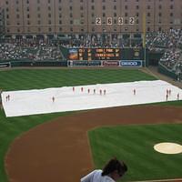 IMG_2955.JPG