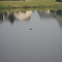 IMG_3024.JPG