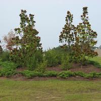 IMG_3044.JPG