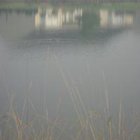 IMG_3045.JPG