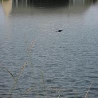 IMG_3046.JPG