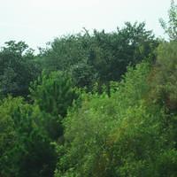 IMG_3057.JPG