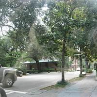 IMG_3060.JPG
