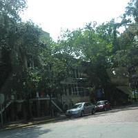 IMG_3063.JPG