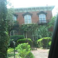 IMG_3064.JPG
