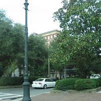 IMG_3073.JPG