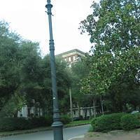 IMG_3074.JPG