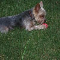IMG_3188.JPG
