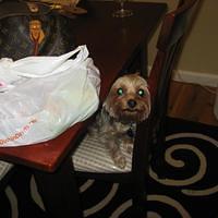 IMG_3193.JPG