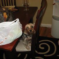 IMG_3194.JPG