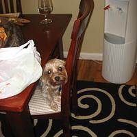 IMG_3195.JPG