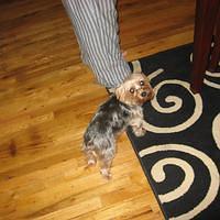 IMG_3197.JPG
