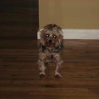 IMG_3202.JPG