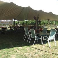 IMG_3210.JPG