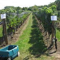IMG_3221.JPG