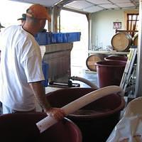 IMG_3237.JPG