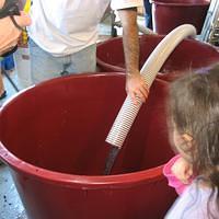 IMG_3242.JPG