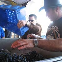 IMG_3246.JPG