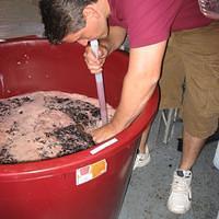 IMG_3274.JPG