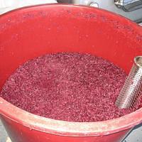 IMG_3291.JPG