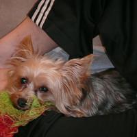 P1000099.JPG