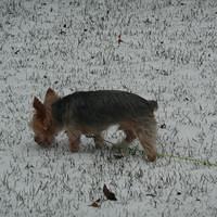 P1000108.JPG