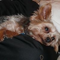 P1000120.JPG