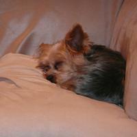 P1000187.JPG