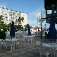 P1000228.JPG
