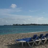 P1000231.JPG