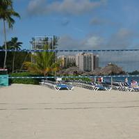 P1000233.JPG