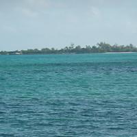 P1000235.JPG